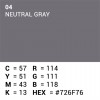 Rouleau de papier de fond - 04 Neutral Grey 1,35 x 11m